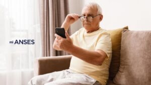 Cómo entender recibo ANSES descuentos bonos
